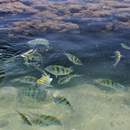 Pousada Casanossa Boipeba Island Luaran gambar
